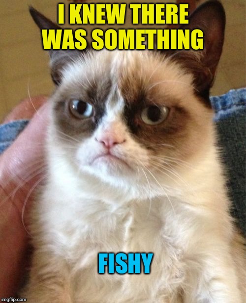 Grumpy Cat Meme | I KNEW THERE WAS SOMETHING FISHY | image tagged in memes,grumpy cat | made w/ Imgflip meme maker