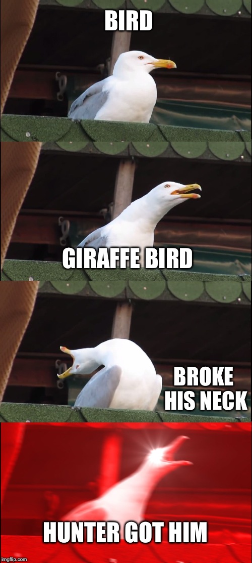 Bird | BIRD; GIRAFFE BIRD; BROKE HIS NECK; HUNTER GOT HIM | image tagged in memes,inhaling seagull | made w/ Imgflip meme maker