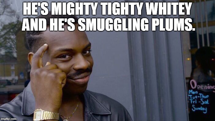 Roll Safe Think About It Meme | HE'S MIGHTY TIGHTY WHITEY AND HE'S SMUGGLING PLUMS. | image tagged in memes,roll safe think about it | made w/ Imgflip meme maker