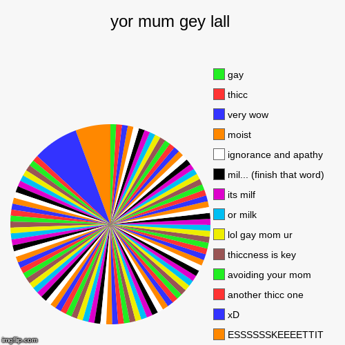 useless pie chart | yor mum gey lall |, ESSSSSSKEEEETTIT, xD, another thicc one, avoiding your mom, thiccness is key, lol gay mom ur, or milk, its milf, mil...  | image tagged in funny,pie charts,ur mom gay,thick | made w/ Imgflip chart maker