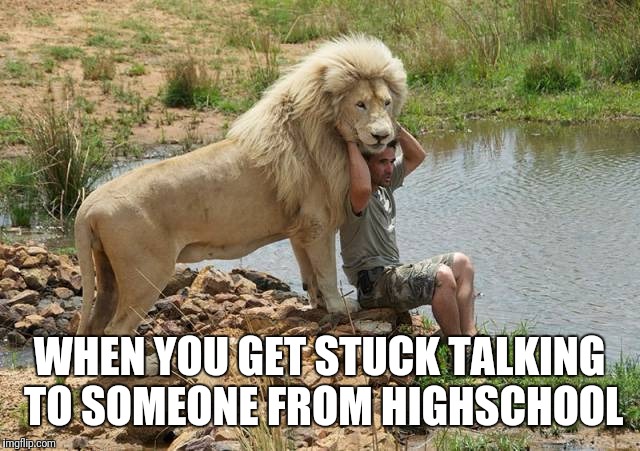 People from highschool | WHEN YOU GET STUCK TALKING TO SOMEONE FROM HIGHSCHOOL | image tagged in lion,high school | made w/ Imgflip meme maker