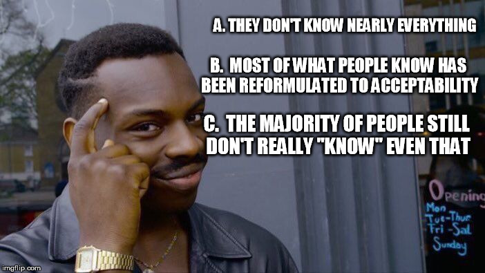 Roll Safe Think About It Meme | A. THEY DON'T KNOW NEARLY EVERYTHING C.  THE MAJORITY OF PEOPLE STILL DON'T REALLY "KNOW" EVEN THAT B.  MOST OF WHAT PEOPLE KNOW HAS BEEN RE | image tagged in memes,roll safe think about it | made w/ Imgflip meme maker