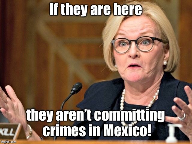 If they are here they aren’t committing crimes in Mexico! | made w/ Imgflip meme maker