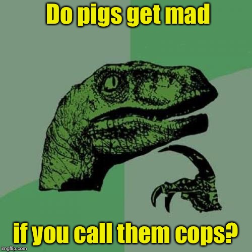 Philosoraptor Meme | Do pigs get mad; if you call them cops? | image tagged in memes,philosoraptor | made w/ Imgflip meme maker