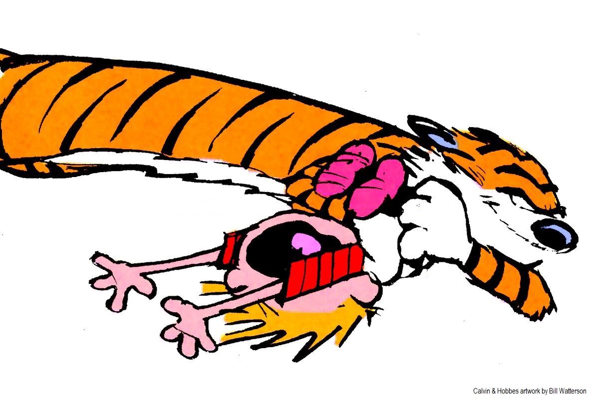 High Quality Calvin & Hobbes tiger attack Blank Meme Template