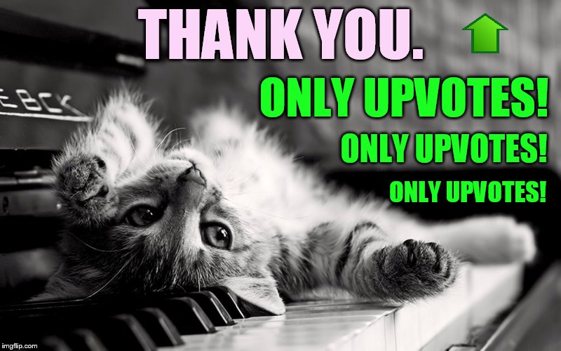 THANK YOU. ONLY UPVOTES! ONLY UPVOTES! ONLY UPVOTES! | made w/ Imgflip meme maker
