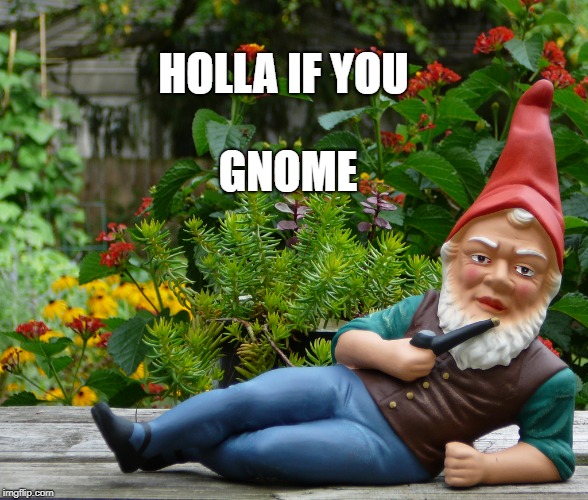 You know? | HOLLA IF YOU; GNOME | image tagged in gnome,gnomes,smoking,holla | made w/ Imgflip meme maker