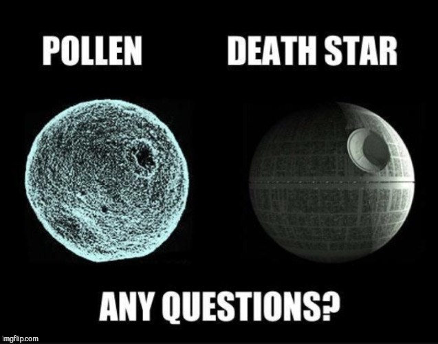 It's that time of year  | POLLEN; ANY QUESTIONS? DEATH STAR | image tagged in jbmemegeek,death star,star wars,allergies | made w/ Imgflip meme maker