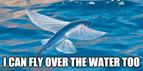 I CAN FLY OVER THE WATER TOO | made w/ Imgflip meme maker