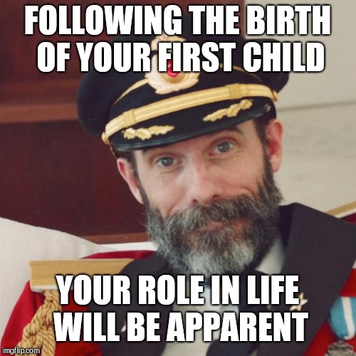 Captain Obvious | FOLLOWING THE BIRTH OF YOUR FIRST CHILD; YOUR ROLE IN LIFE WILL BE APPARENT | image tagged in captain obvious,life | made w/ Imgflip meme maker