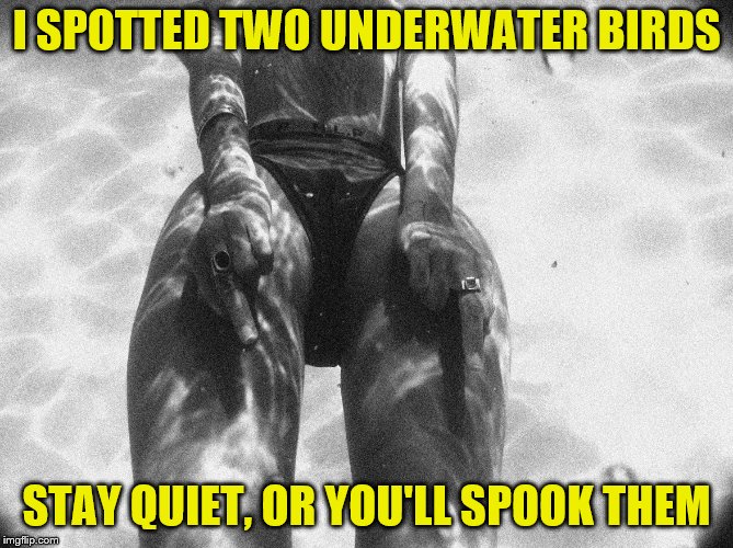 I SPOTTED TWO UNDERWATER BIRDS STAY QUIET, OR YOU'LL SPOOK THEM | made w/ Imgflip meme maker