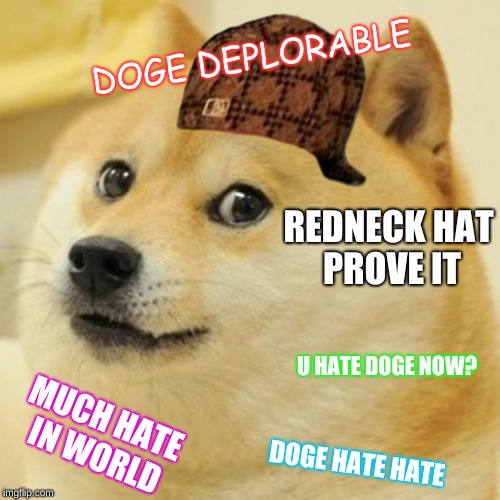 Doge | DOGE DEPLORABLE; REDNECK HAT PROVE IT; U HATE DOGE NOW? MUCH HATE IN WORLD; DOGE HATE HATE | image tagged in memes,doge,scumbag | made w/ Imgflip meme maker