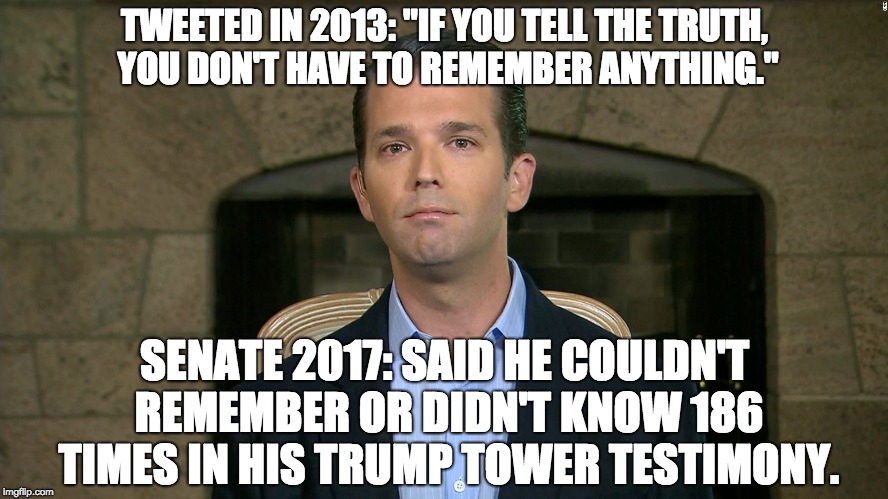 Donald Trump, Jr. | TWEETED IN 2013: "IF YOU TELL THE TRUTH, YOU DON'T HAVE TO REMEMBER ANYTHING."; SENATE 2017: SAID HE COULDN'T REMEMBER OR DIDN'T KNOW 186 TIMES IN HIS TRUMP TOWER TESTIMONY. | image tagged in donald trump jr. | made w/ Imgflip meme maker