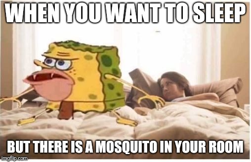 spongegar bed | WHEN YOU WANT TO SLEEP; BUT THERE IS A MOSQUITO IN YOUR ROOM | image tagged in spongegar bed | made w/ Imgflip meme maker