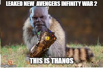 Raccoon thanos | LEAKED NEW  AVENGERS INFINITY WAR 2; THIS IS THANOS | image tagged in raccoon,thanos,memes | made w/ Imgflip meme maker