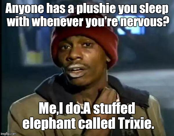 Plushies you sleep with when nervous | Anyone has a plushie you sleep with whenever you're nervous? Me,I do.A stuffed elephant called Trixie. | image tagged in memes,y'all got any more of that | made w/ Imgflip meme maker