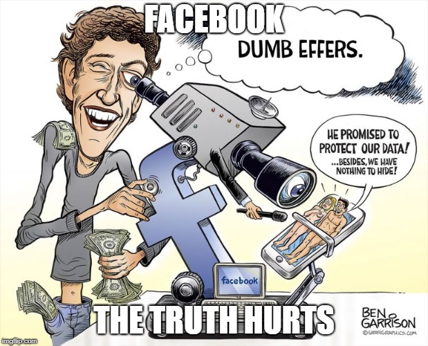 the lies of facebook  | FACEBOOK; THE TRUTH HURTS | image tagged in facebook problems | made w/ Imgflip meme maker