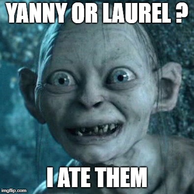 Gollum Meme | YANNY OR LAUREL ? I ATE THEM | image tagged in memes,gollum | made w/ Imgflip meme maker