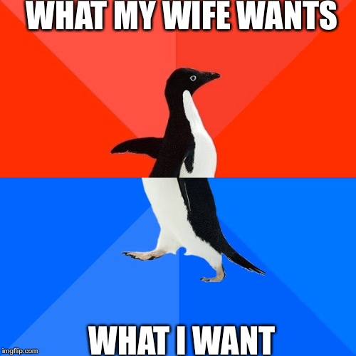 Socially Awesome Awkward Penguin | WHAT MY WIFE WANTS; WHAT I WANT | image tagged in memes,socially awesome awkward penguin | made w/ Imgflip meme maker