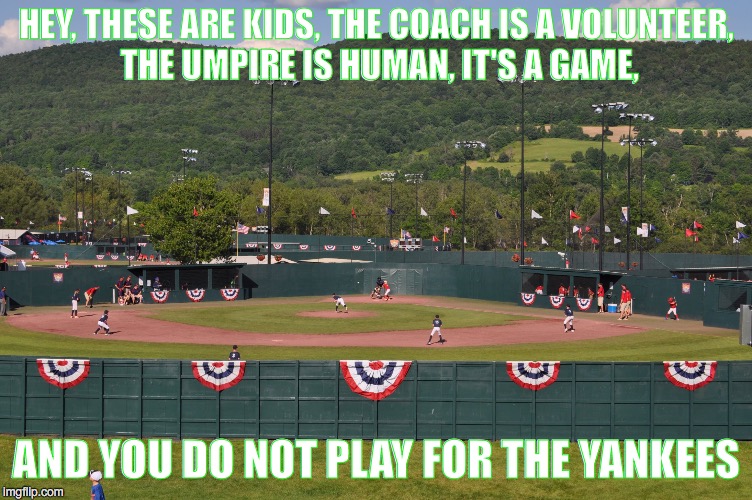 HEY, THESE ARE KIDS, THE COACH IS A VOLUNTEER, THE UMPIRE IS HUMAN, IT'S A GAME, AND YOU DO NOT PLAY FOR THE YANKEES | image tagged in love baseball | made w/ Imgflip meme maker