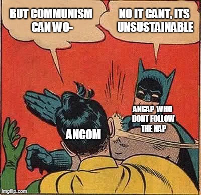 The battle continues | BUT COMMUNISM CAN WO-; NO IT CANT, ITS UNSUSTAINABLE; ANCAP  WHO DONT FOLLOW THE NAP; ANCOM | image tagged in memes,batman slapping robin | made w/ Imgflip meme maker