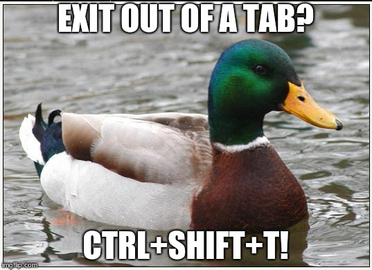 Actual Advice Mallard Meme | EXIT OUT OF A TAB? CTRL+SHIFT+T! | image tagged in memes,actual advice mallard | made w/ Imgflip meme maker