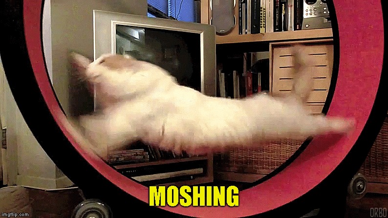 MOSHING | made w/ Imgflip meme maker