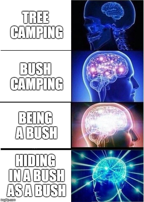 Expanding Brain | TREE CAMPING; BUSH CAMPING; BEING A BUSH; HIDING IN A BUSH AS A BUSH | image tagged in memes,expanding brain | made w/ Imgflip meme maker