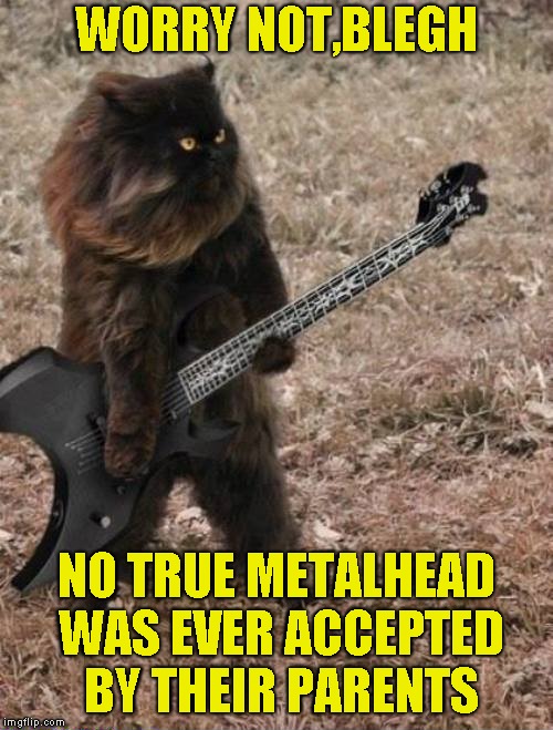 WORRY NOT,BLEGH NO TRUE METALHEAD WAS EVER ACCEPTED BY THEIR PARENTS | made w/ Imgflip meme maker
