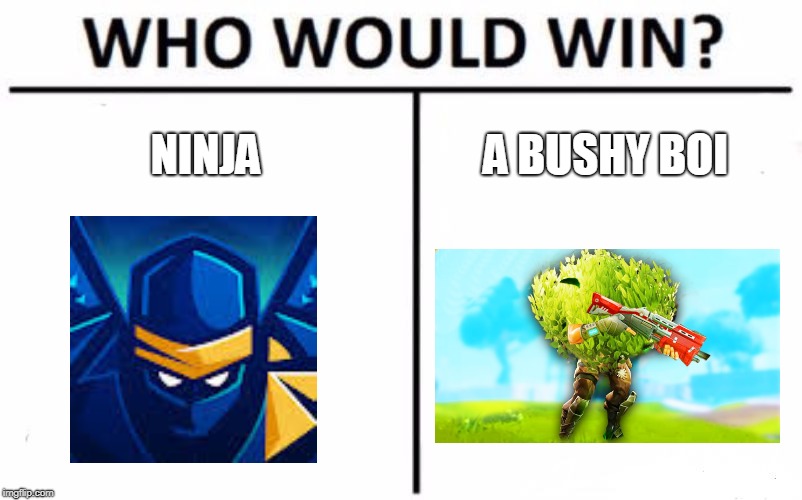 Who Would Win? | NINJA; A BUSHY BOI | image tagged in memes,who would win | made w/ Imgflip meme maker