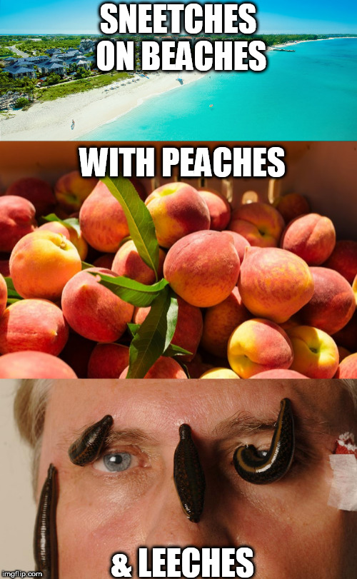 EWW GROSSEST! | SNEETCHES ON BEACHES; WITH PEACHES; & LEECHES | image tagged in ugh  barfington,nasty | made w/ Imgflip meme maker