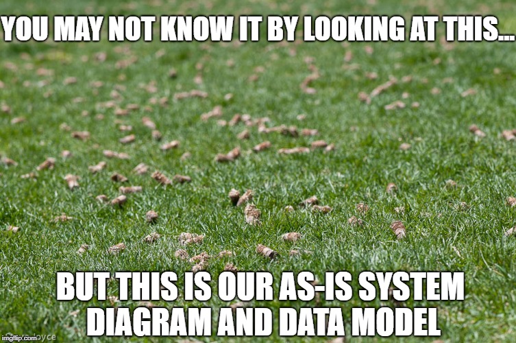 IT System and Data Model Demystified | YOU MAY NOT KNOW IT BY LOOKING AT THIS... BUT THIS IS OUR AS-IS SYSTEM DIAGRAM AND DATA MODEL | image tagged in data,system,information,technology,work | made w/ Imgflip meme maker
