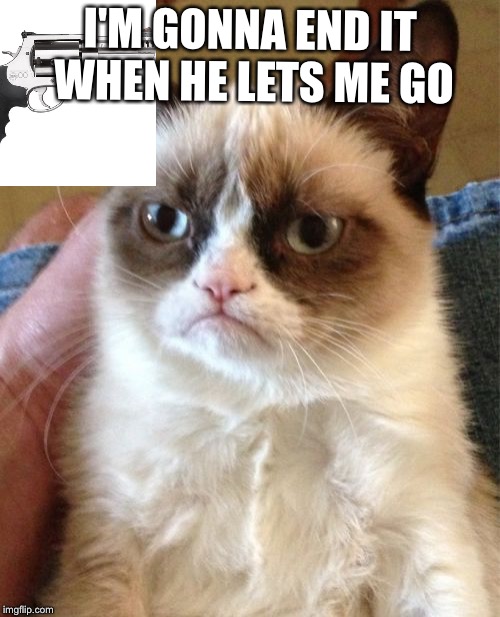 Grumpy Cat | I'M GONNA END IT WHEN HE LETS ME GO | image tagged in memes,grumpy cat | made w/ Imgflip meme maker