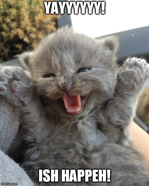 Adorable Yayness | YAYYYYYY! ISH HAPPEH! | image tagged in yay kitten,yay kitty,happy,cute,adorable,yay | made w/ Imgflip meme maker