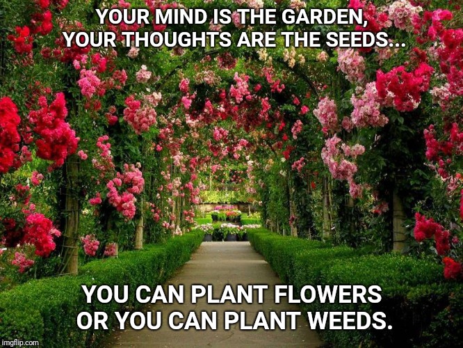 Plant flowers, not weeds. | YOUR MIND IS THE GARDEN, YOUR THOUGHTS ARE THE SEEDS... YOU CAN PLANT FLOWERS OR YOU CAN PLANT WEEDS. | image tagged in positive thinking,thoughts,deep thoughts,flowers,good | made w/ Imgflip meme maker
