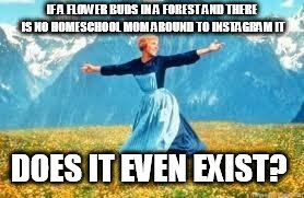 Look At All These | IF A FLOWER BUDS IN A FOREST AND THERE IS NO HOMESCHOOL MOM AROUND TO INSTAGRAM IT; DOES IT EVEN EXIST? | image tagged in memes,look at all these | made w/ Imgflip meme maker