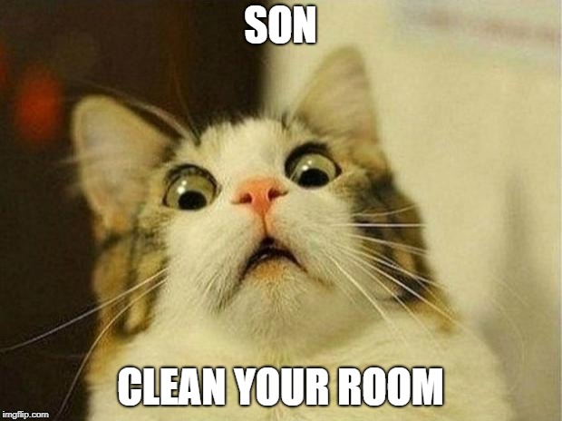 Scared Cat Meme |  SON; CLEAN YOUR ROOM | image tagged in memes,scared cat | made w/ Imgflip meme maker