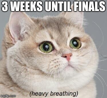 Heavy Breathing Cat Meme | 3 WEEKS UNTIL FINALS | image tagged in memes,heavy breathing cat | made w/ Imgflip meme maker