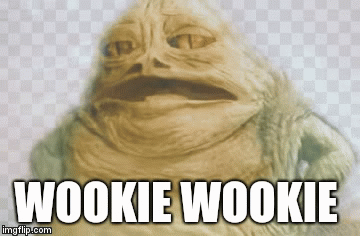 WOOKIE... HO! | image tagged in gifs | made w/ Imgflip video-to-gif maker