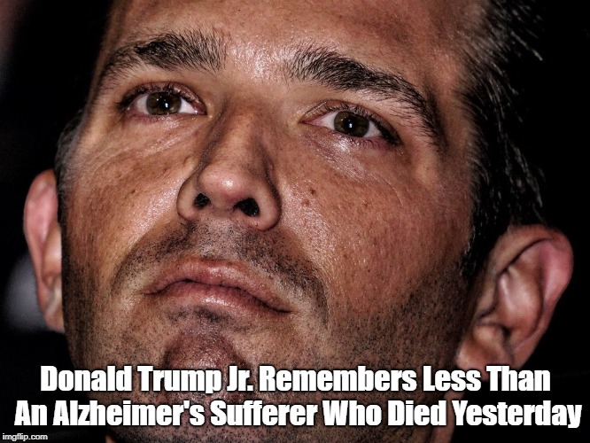 Donald Trump Jr. Remembers Less Than An Alzheimer's Sufferer Who Died Yesterday | made w/ Imgflip meme maker