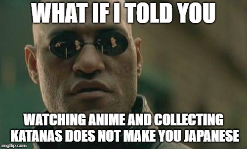 Matrix Morpheus Meme | WHAT IF I TOLD YOU; WATCHING ANIME AND COLLECTING KATANAS DOES NOT MAKE YOU JAPANESE | image tagged in memes,matrix morpheus | made w/ Imgflip meme maker