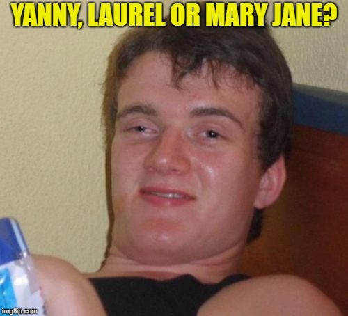 10 Guy Meme | YANNY, LAUREL OR MARY JANE? | image tagged in memes,10 guy | made w/ Imgflip meme maker