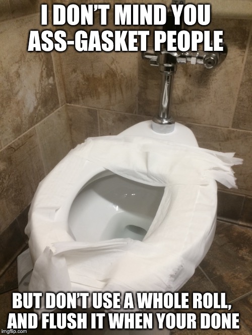 Wipe out bad behaviour  | I DON’T MIND YOU ASS-GASKET PEOPLE; BUT DON’T USE A WHOLE ROLL, AND FLUSH IT WHEN YOUR DONE | image tagged in butthurt | made w/ Imgflip meme maker