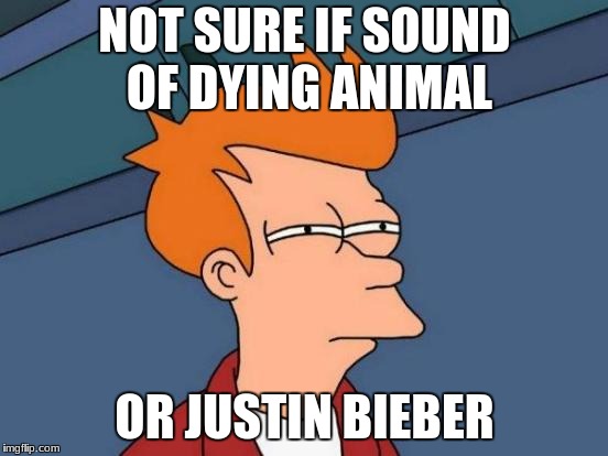 Futurama Fry | NOT SURE IF SOUND OF DYING ANIMAL; OR JUSTIN BIEBER | image tagged in memes,futurama fry | made w/ Imgflip meme maker