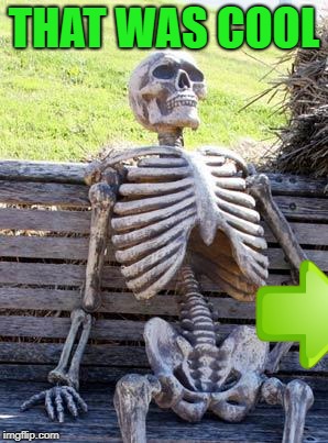 Waiting Skeleton Meme | THAT WAS COOL | image tagged in memes,waiting skeleton | made w/ Imgflip meme maker