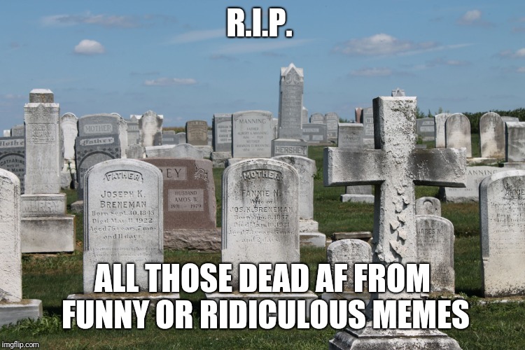 Cemetary | R.I.P. ALL THOSE DEAD AF FROM FUNNY OR RIDICULOUS MEMES | image tagged in cemetary | made w/ Imgflip meme maker