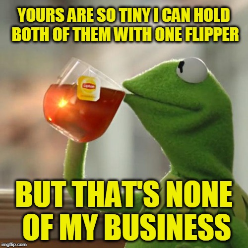 But That's None Of My Business Meme | YOURS ARE SO TINY I CAN HOLD BOTH OF THEM WITH ONE FLIPPER BUT THAT'S NONE OF MY BUSINESS | image tagged in memes,but thats none of my business,kermit the frog | made w/ Imgflip meme maker