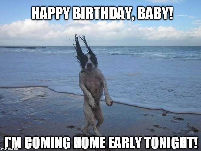 Happy birthday | HAPPY BIRTHDAY, BABY! I'M COMING HOME EARLY TONIGHT! | image tagged in dog meme | made w/ Imgflip meme maker