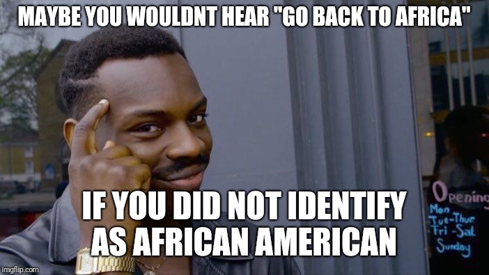 Roll Safe Think About It Meme | MAYBE YOU WOULDNT HEAR "GO BACK TO AFRICA"; IF YOU DID NOT IDENTIFY AS AFRICAN AMERICAN | image tagged in memes,roll safe think about it | made w/ Imgflip meme maker