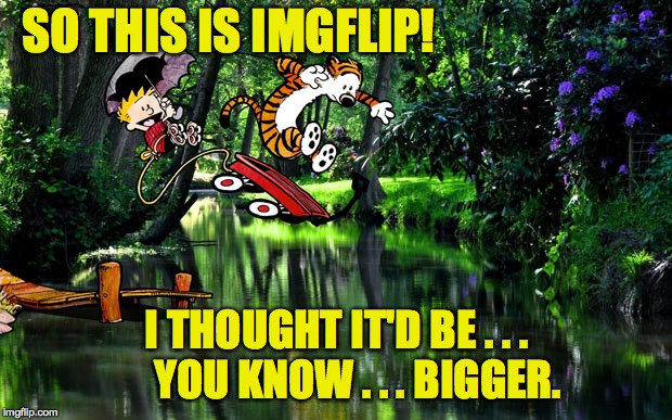 SO THIS IS IMGFLIP! I THOUGHT IT'D BE . . .     YOU KNOW . . . BIGGER. | made w/ Imgflip meme maker